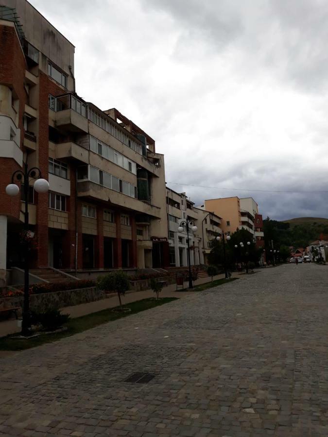 Apartament Antonia Apartment Tîrgu Ocna Екстериор снимка