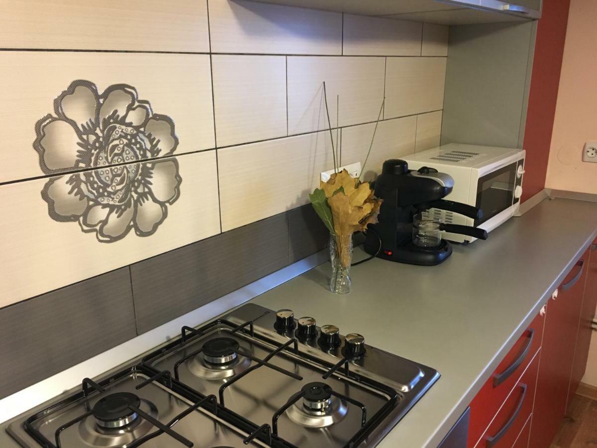 Apartament Antonia Apartment Tîrgu Ocna Екстериор снимка